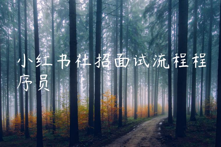 小红书社招面试流程程序员 小红书社招面试流程程序员