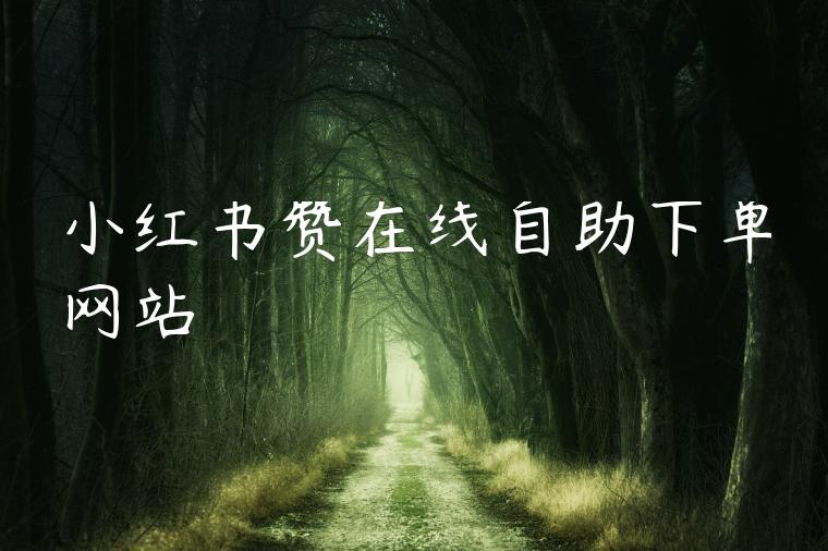 小红书赞在线自助下单网站 小红书赞在线自助下单网站