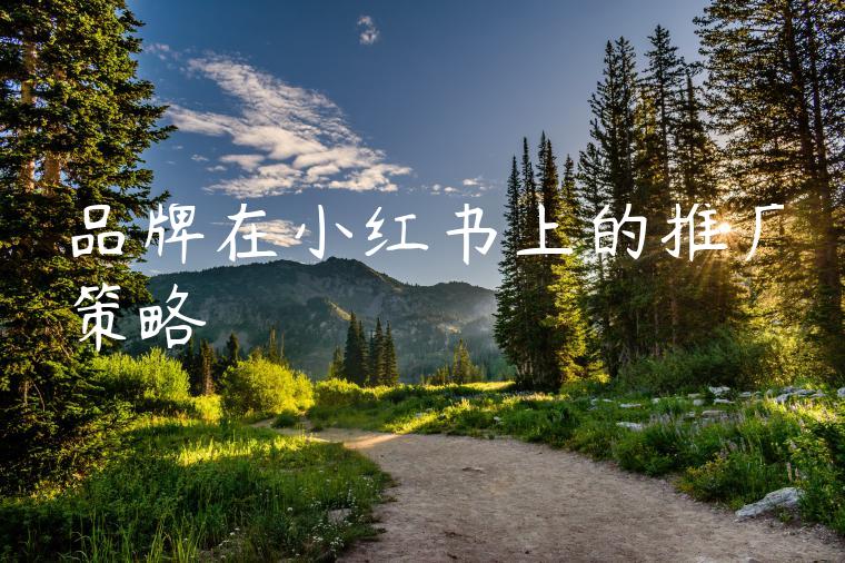 品牌在小红书上的推广策略 品牌在小红书上的推广策略