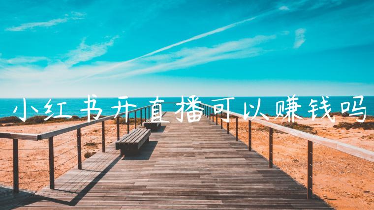 小红书开直播可以赚钱吗