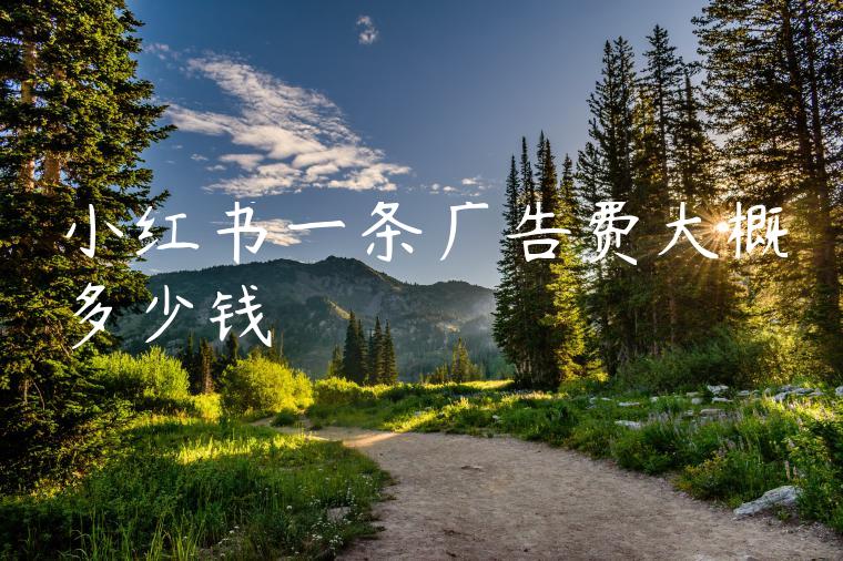 小红书一条广告费大概多少钱