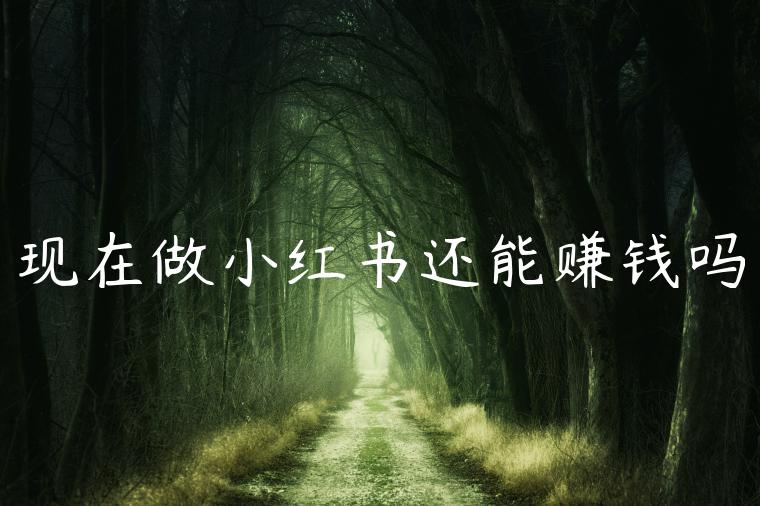 现在做小红书还能赚钱吗 现在做小红书还能赚钱吗