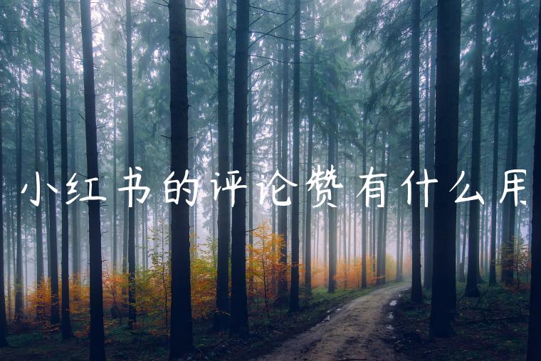 小红书的评论赞有什么用 小红书的评论赞有什么用