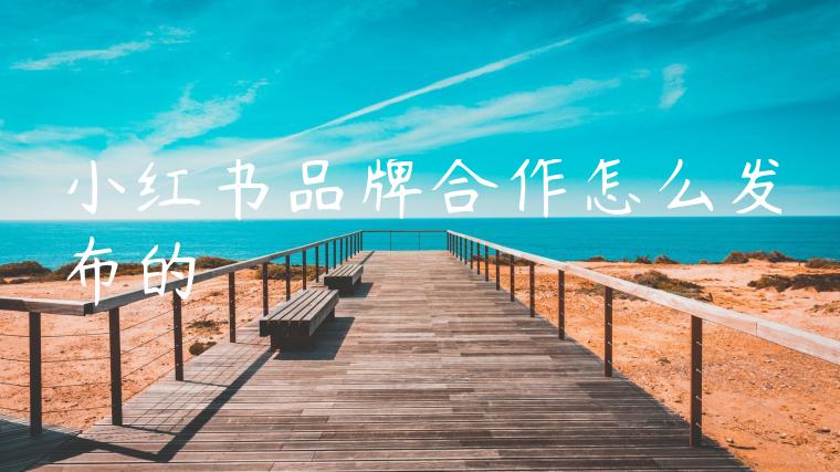 小红书品牌合作怎么发布的 小红书品牌合作怎么发布的