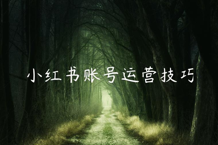 小红书账号运营技巧