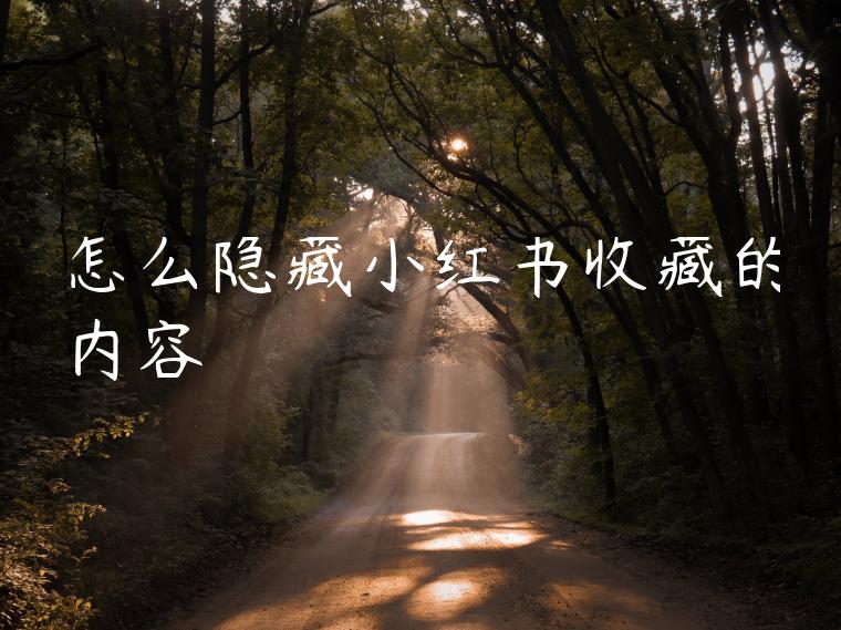 怎么隐藏小红书收藏的内容 怎么隐藏小红书收藏的内容