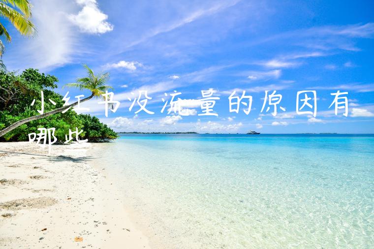 小红书没流量的原因有哪些 小红书没流量的原因有哪些