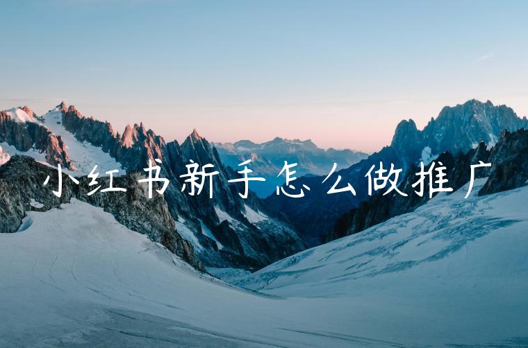 小红书新手怎么做推广