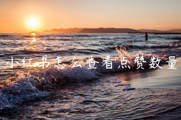 小红书怎么查看点赞数量
