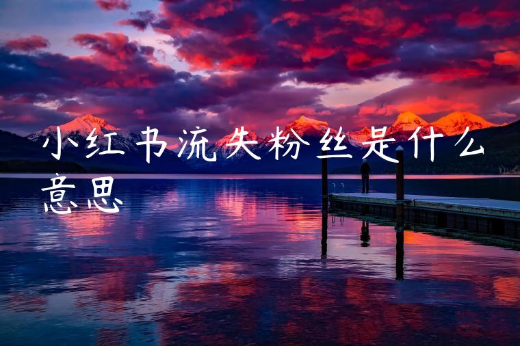 小红书流失粉丝是什么意思