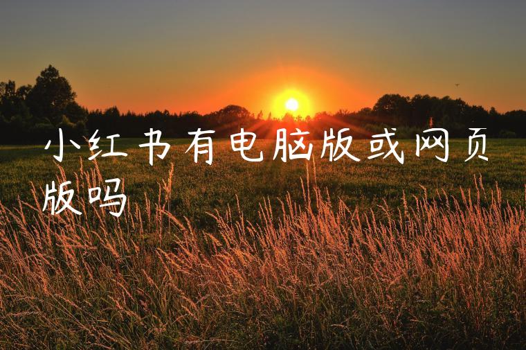 小红书有电脑版或网页版吗 小红书有电脑版或网页版吗