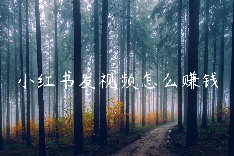 小红书发视频怎么赚钱