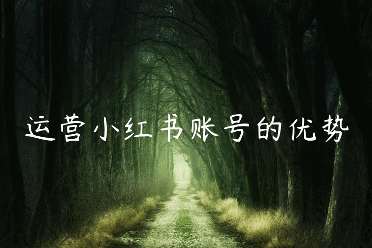 运营小红书账号的优势 运营小红书账号的优势