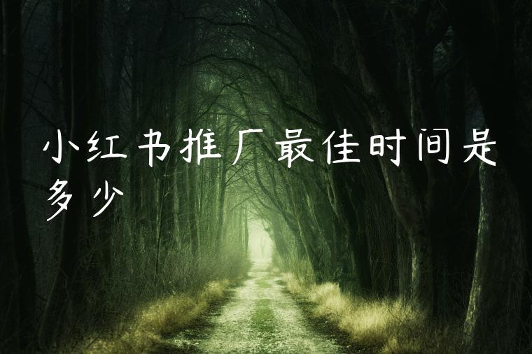 小红书推广最佳时间是多少