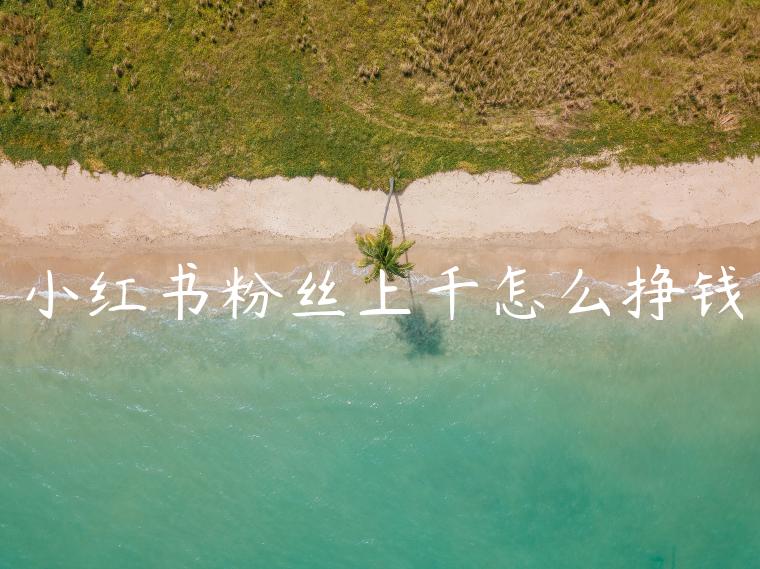 小红书粉丝上千怎么挣钱