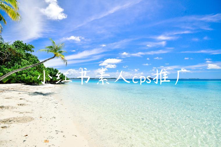 小红书素人cps推广 小红书素人cps推广