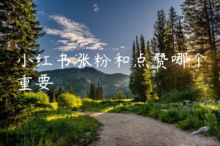 小红书涨粉和点赞哪个重要 小红书涨粉和点赞哪个重要