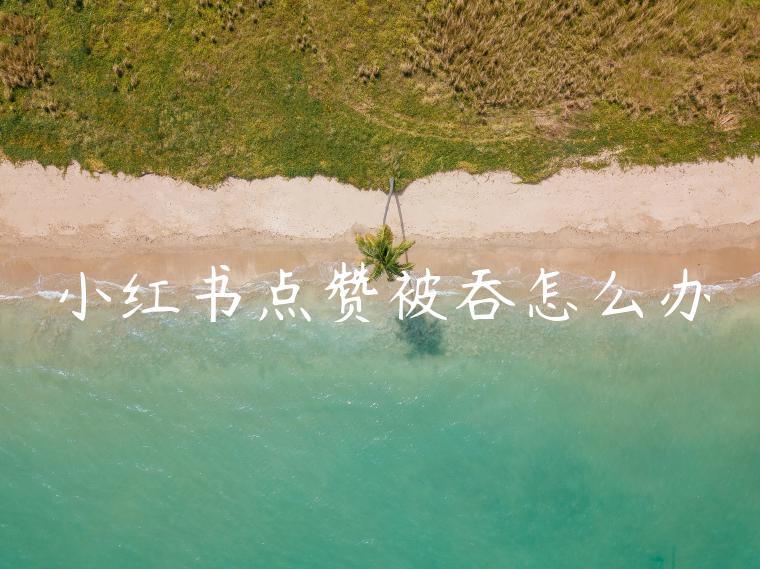 小红书点赞被吞怎么办 小红书点赞被吞怎么办