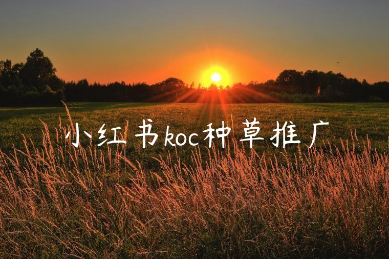 小红书koc种草推广