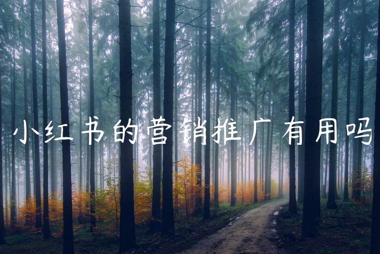 小红书的营销推广有用吗 小红书的营销推广有用吗