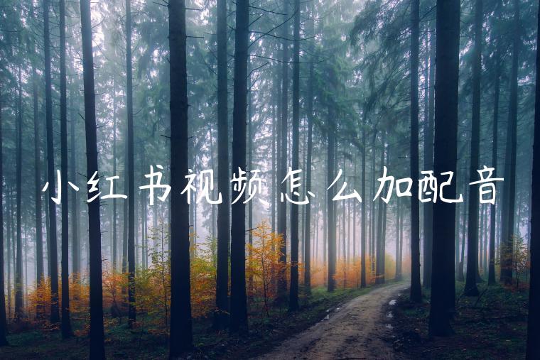 小红书视频怎么加配音
