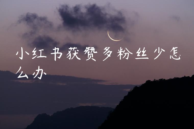 小红书获赞多粉丝少怎么办 小红书获赞多粉丝少怎么办