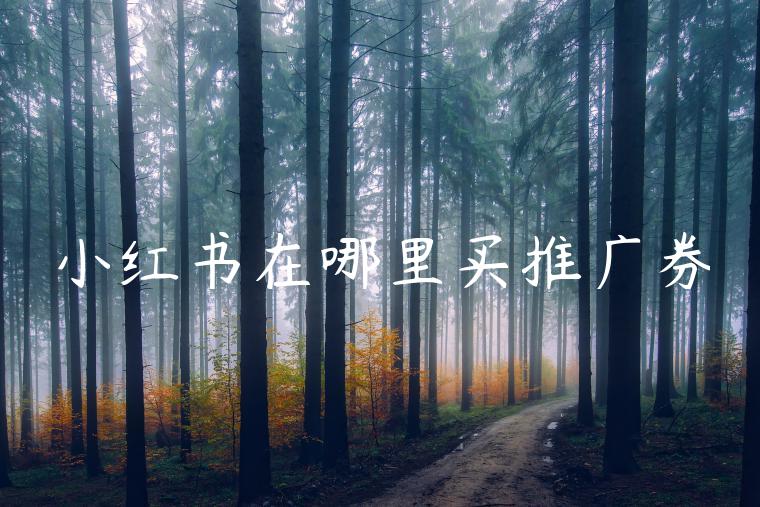 小红书在哪里买推广券 小红书在哪里买推广券