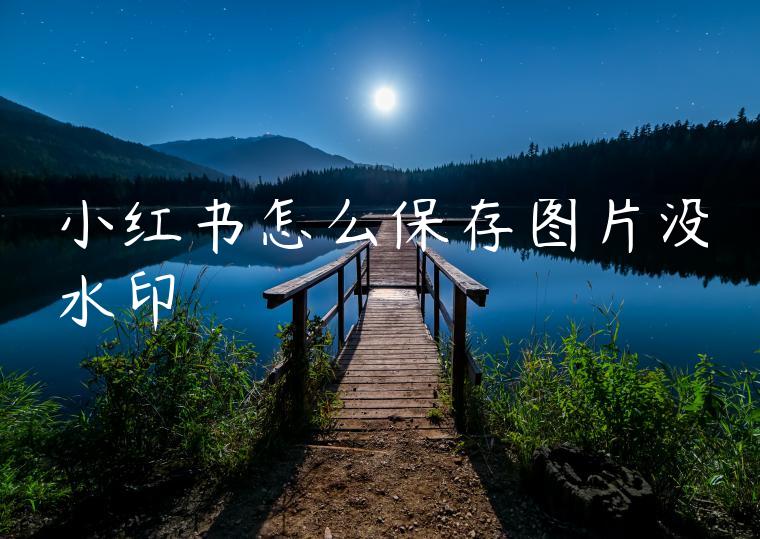 小红书怎么保存图片没水印