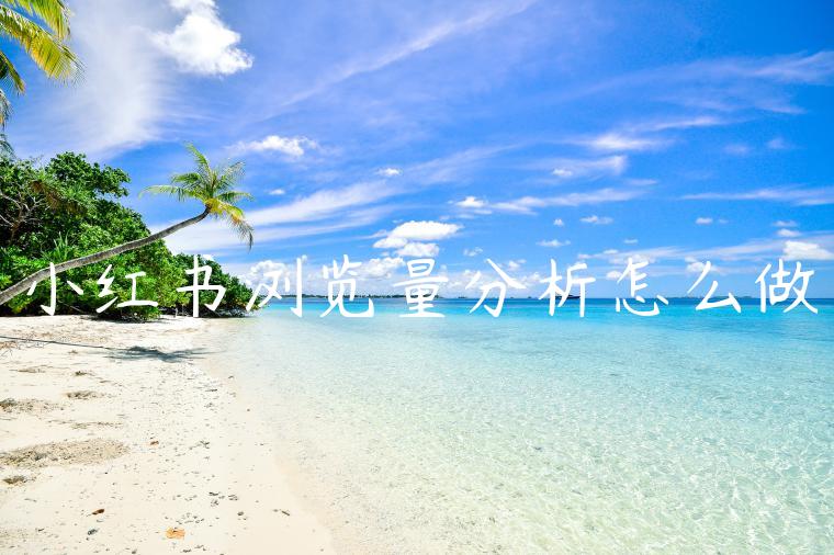 小红书浏览量分析怎么做