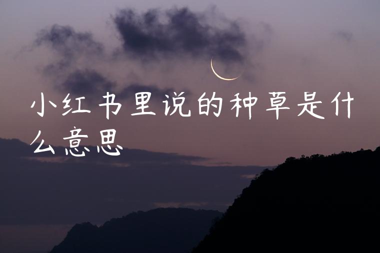 小红书里说的种草是什么意思