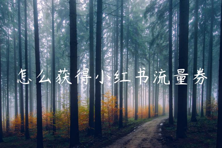 怎么获得小红书流量券
