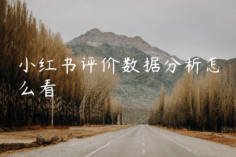 小红书评价数据分析怎么看 小红书评价数据分析怎么看