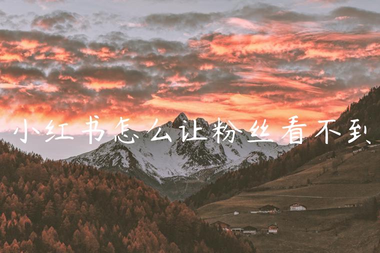 小红书怎么让粉丝看不到 小红书怎么让粉丝看不到