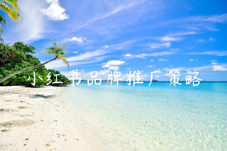 小红书品牌推广策略