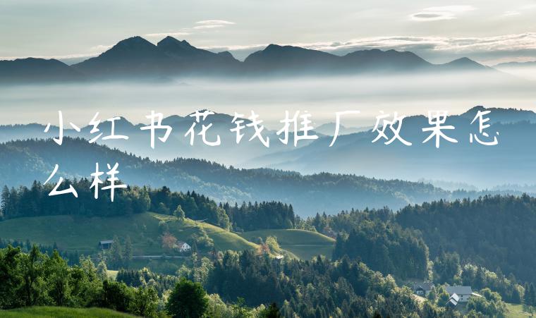 小红书花钱推广效果怎么样 小红书花钱推广效果怎么样