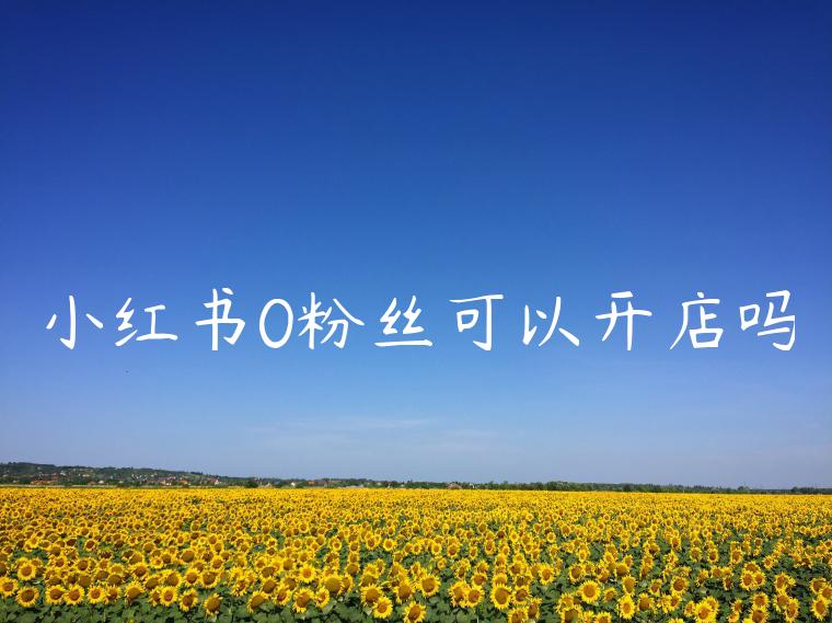 小红书0粉丝可以开店吗