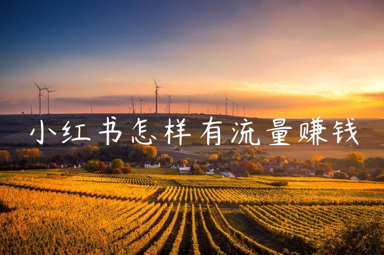 小红书怎样有流量赚钱