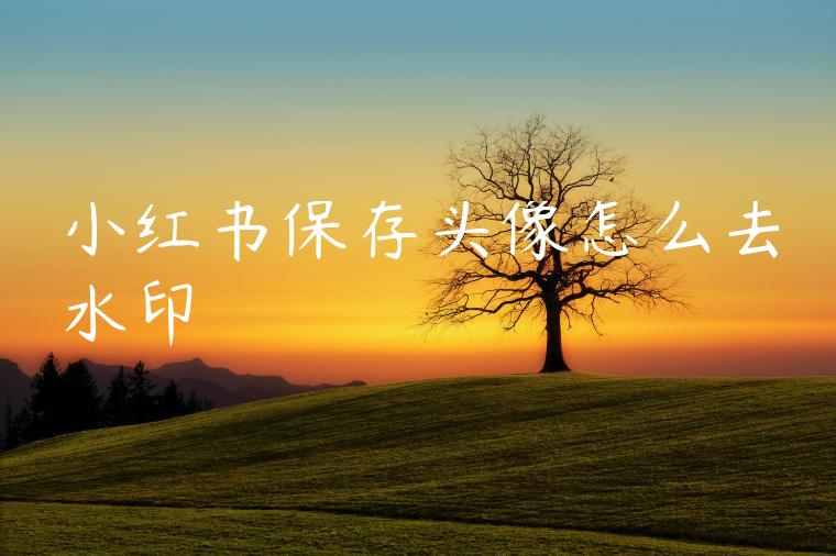 小红书保存头像怎么去水印