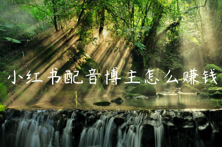 小红书配音博主怎么赚钱 小红书配音博主怎么赚钱