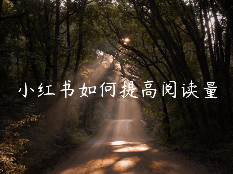 小红书如何提高阅读量