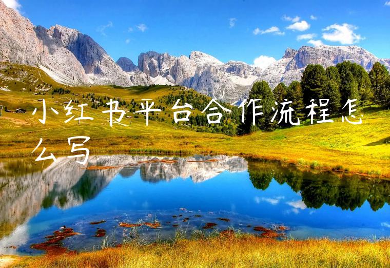 小红书平台合作流程怎么写 小红书平台合作流程怎么写