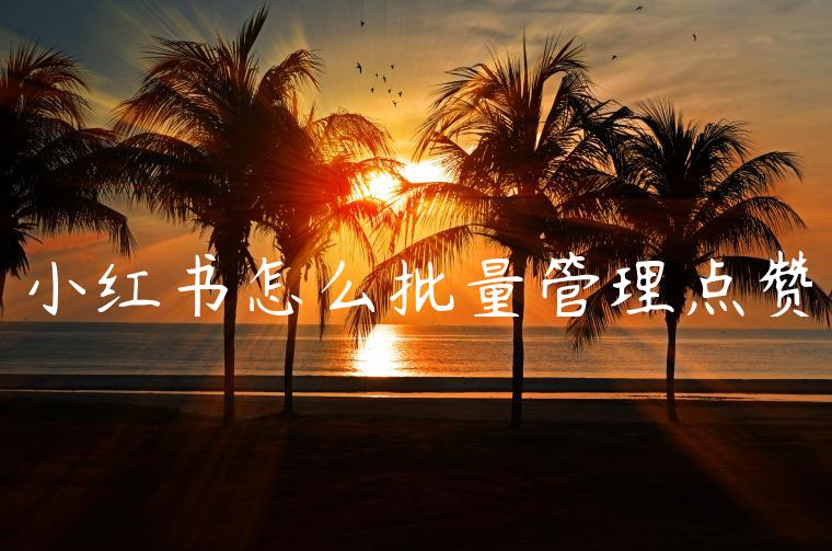 小红书怎么批量管理点赞