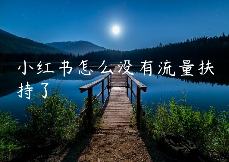 小红书怎么没有流量扶持了 小红书怎么没有流量扶持了