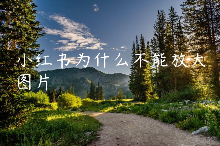 小红书为什么不能放大图片
