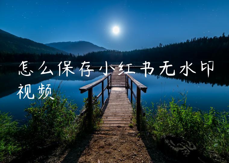 怎么保存小红书无水印视频 怎么保存小红书无水印视频