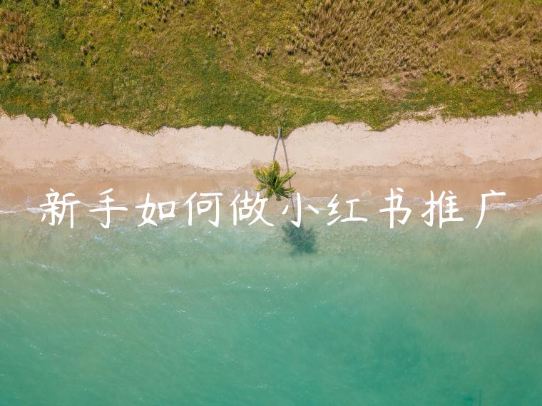 新手如何做小红书推广 新手如何做小红书推广