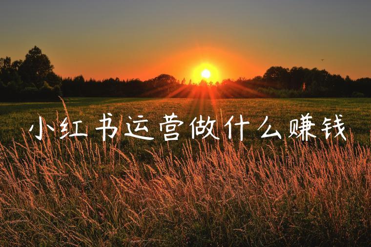 小红书运营做什么赚钱