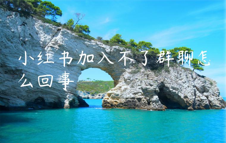 小红书加入不了群聊怎么回事