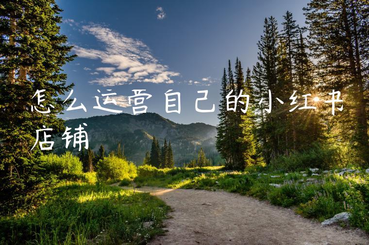 怎么运营自己的小红书店铺