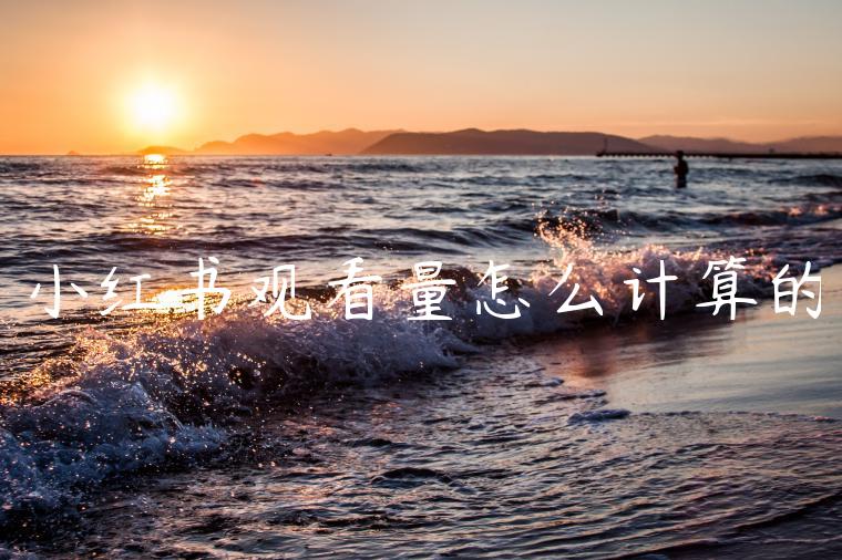 小红书观看量怎么计算的 小红书观看量怎么计算的